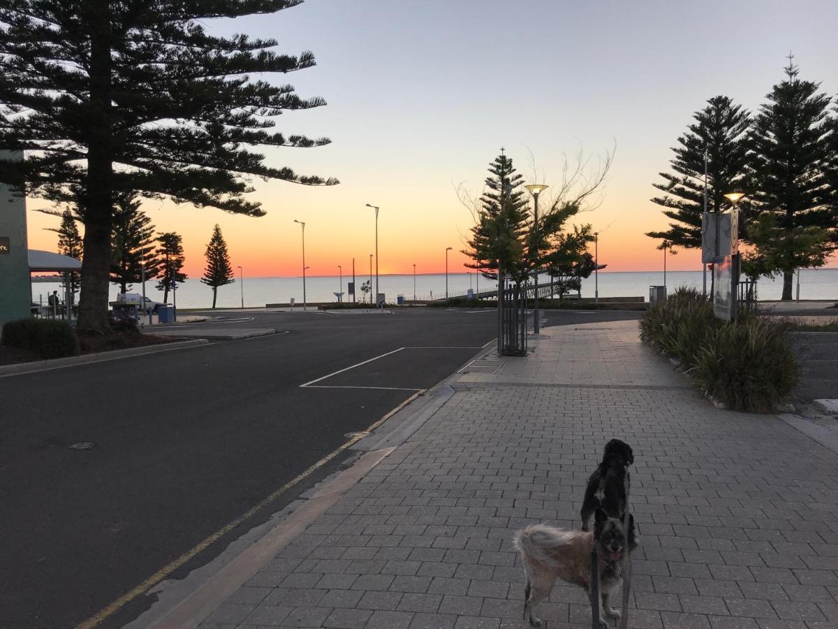 BIG4 Ceduna Tourist Park Extérieur photo